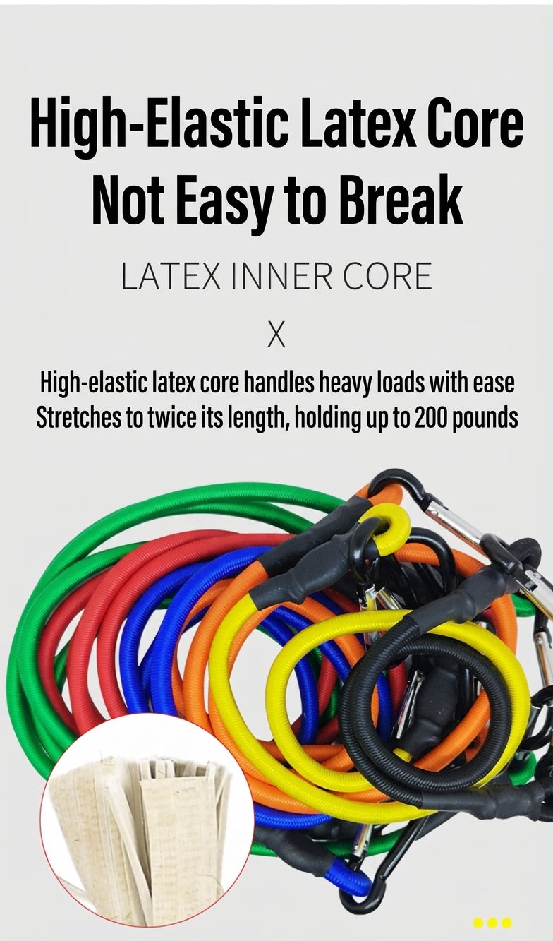 Luggage Strap & Carabiner Combo Set
